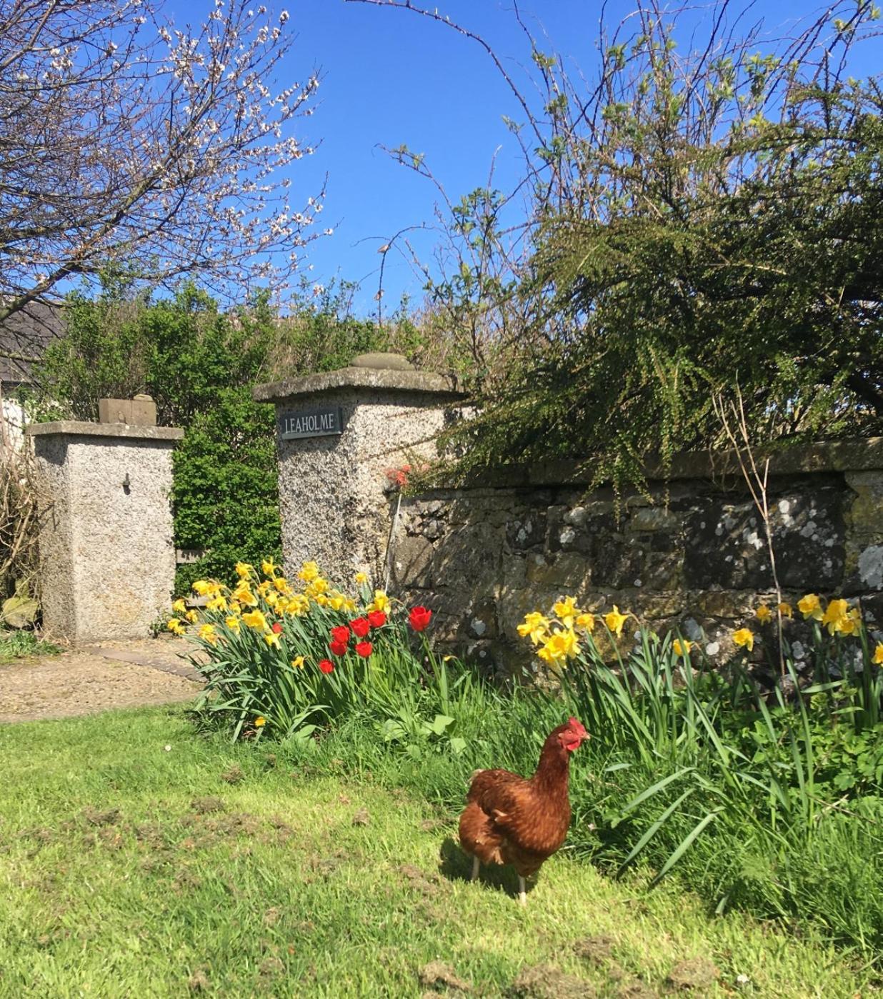 Leaholme Cottage - Fabulous Coastal Cottage For 8 Newton-by-the-Sea Dış mekan fotoğraf